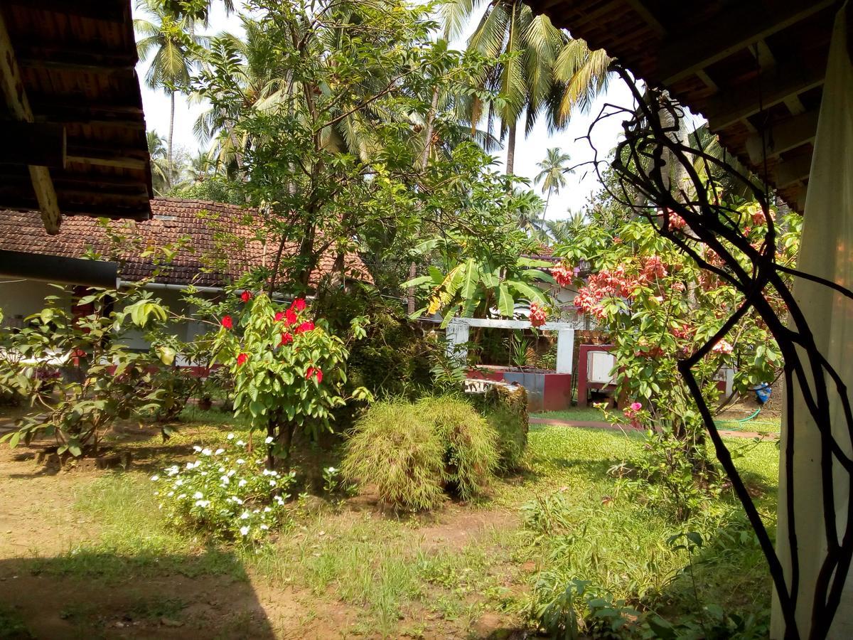 White Negro Beach Resort Anjuna